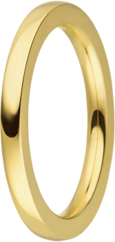 Steckring innen 2mm gold Stahl