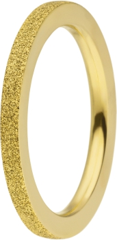 Steckring innen 2mm gold Stahl diamantiert