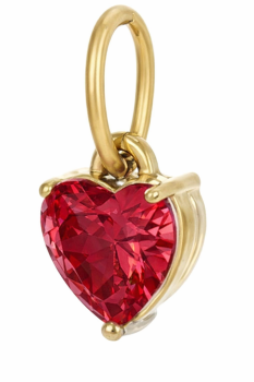 Anhänger Herz Edelstahl Gold rot